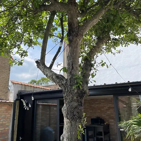 Le 104 Maison Avec Terrasse Proche De La Mer Dunkirk