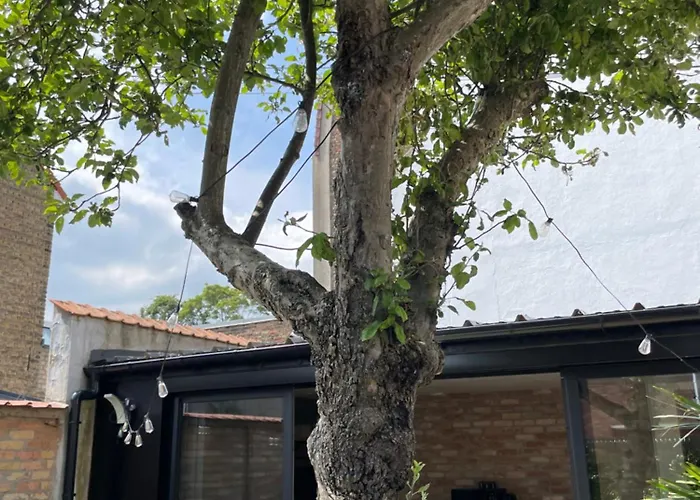 Le 104 Maison Avec Terrasse Proche De La Mer Duinkerke